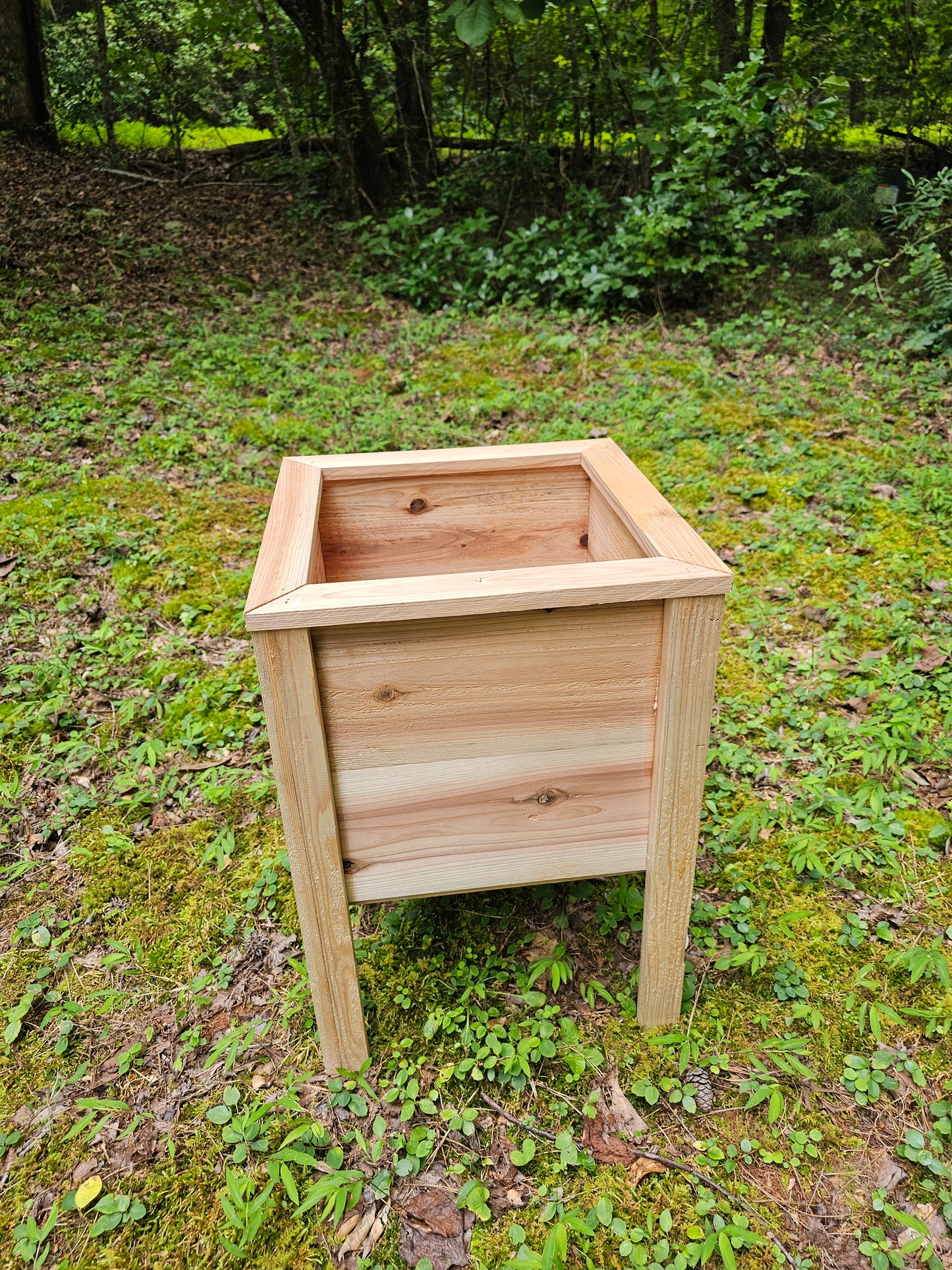 Cedar planter