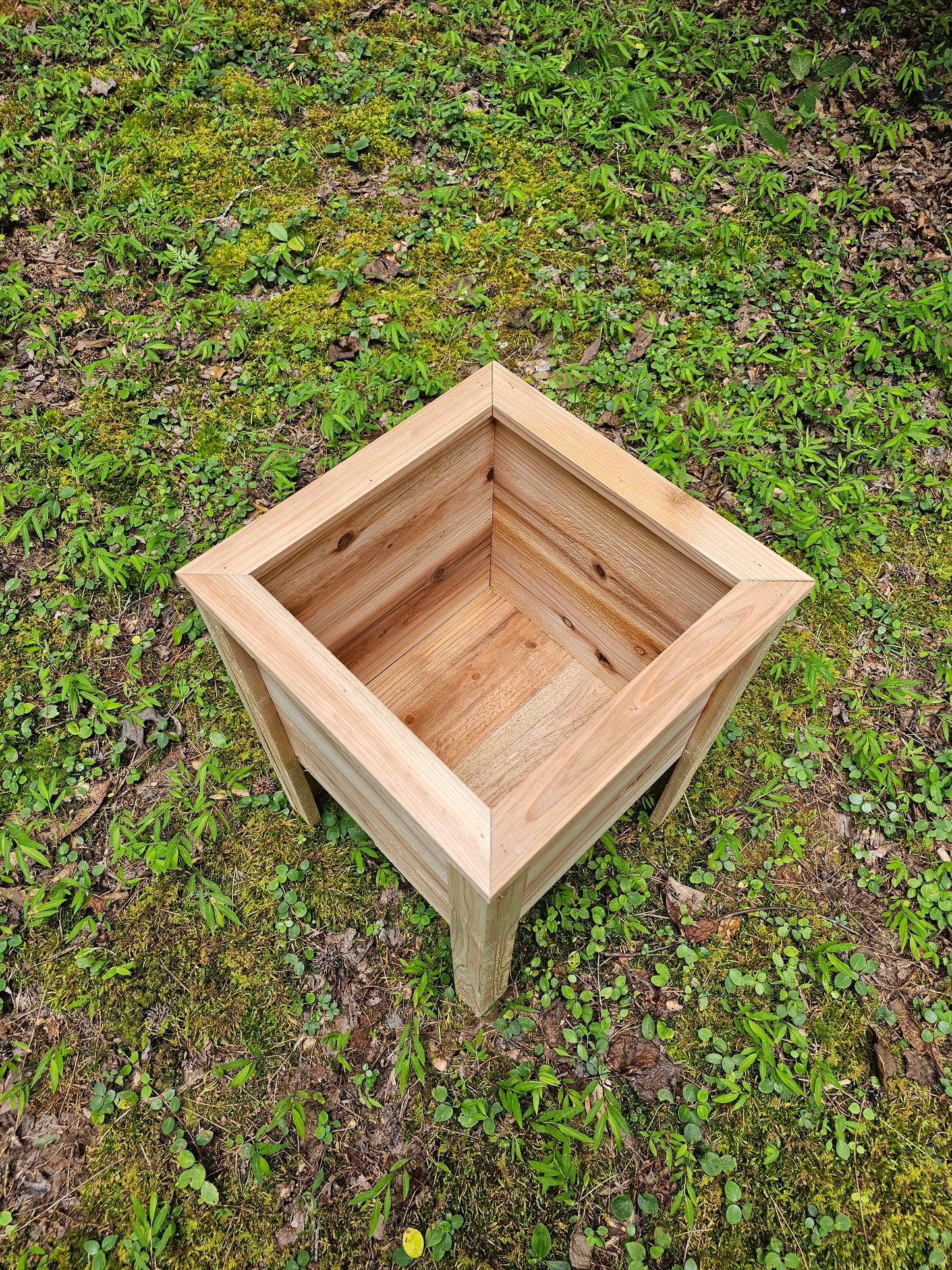 Cedar planter