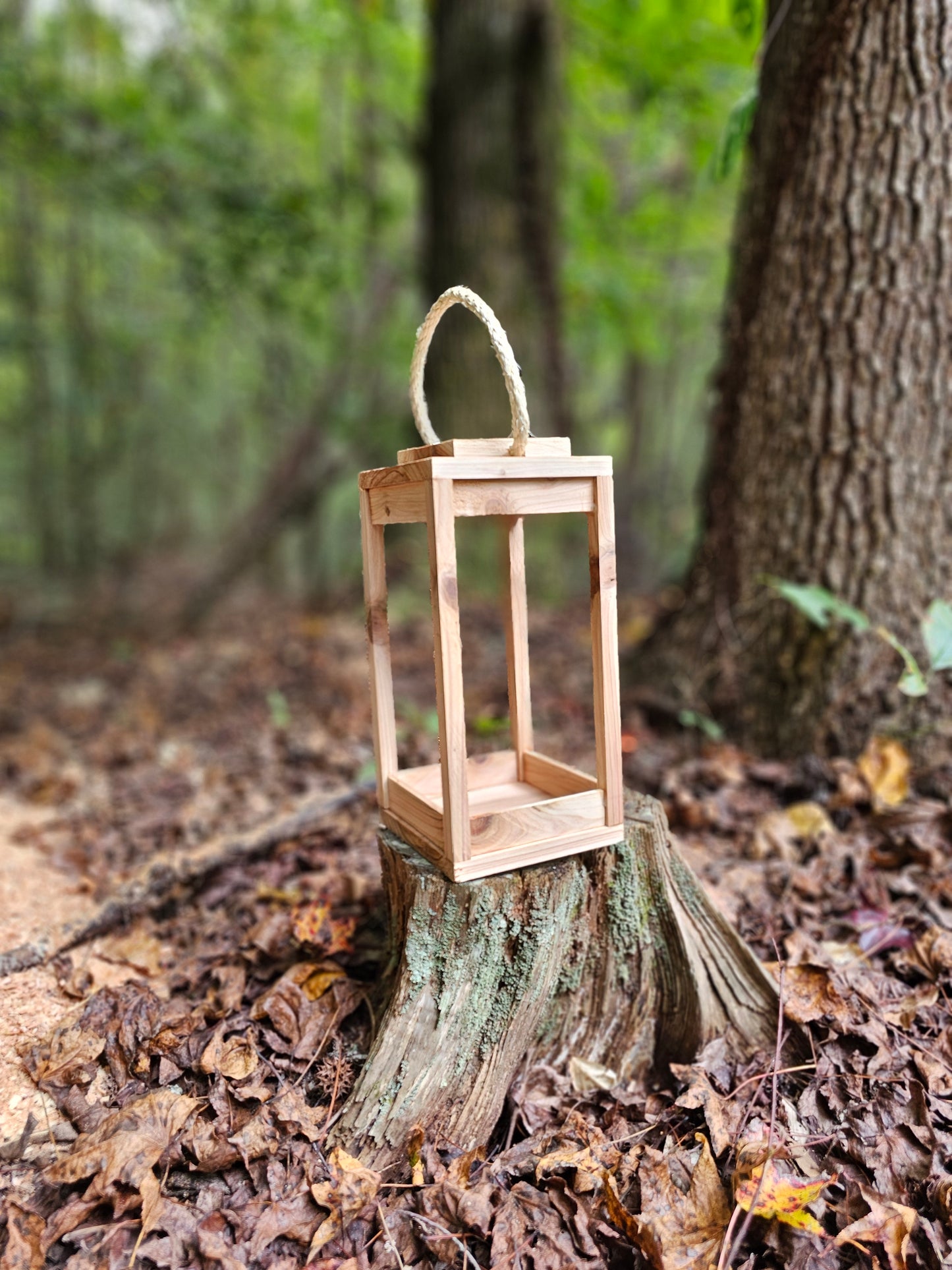 Cedar Decorative Lantern
